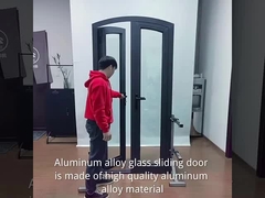 porte en aluminium